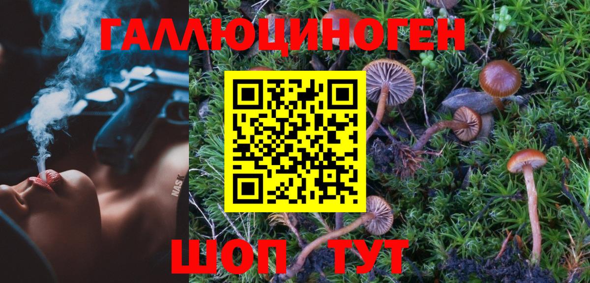 Галлюциногенные грибы MAGIC MUSHROOMS  Псилоцибиновые грибы MAGIC MUSHROOMS  где купить наркоту  Калуга  Вход с VPN 
